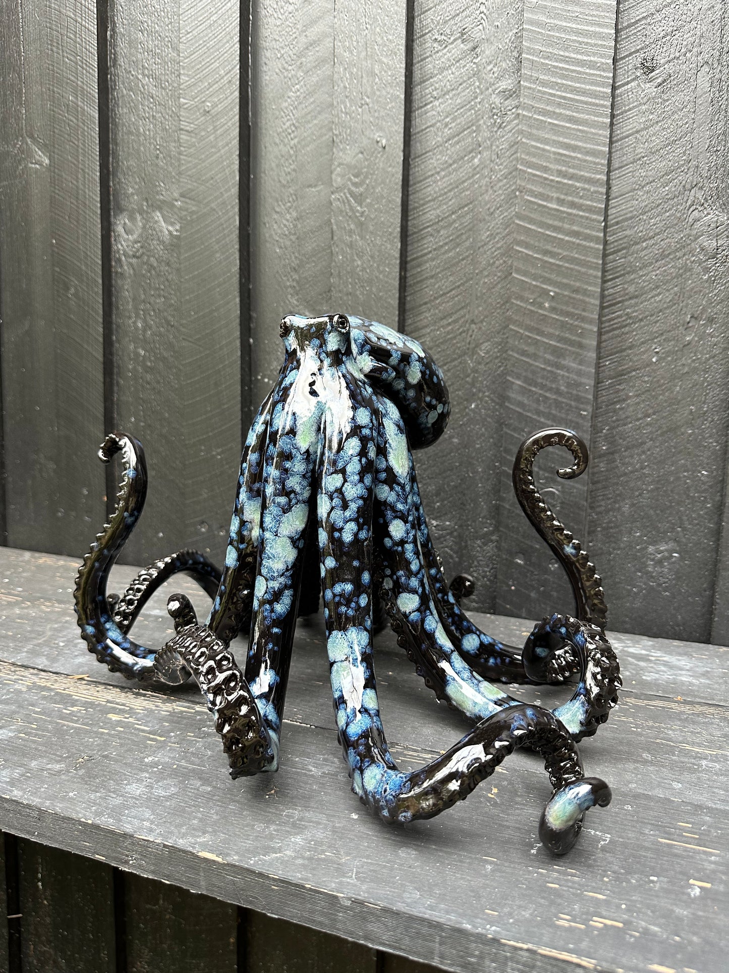 Black/Blue Octopus