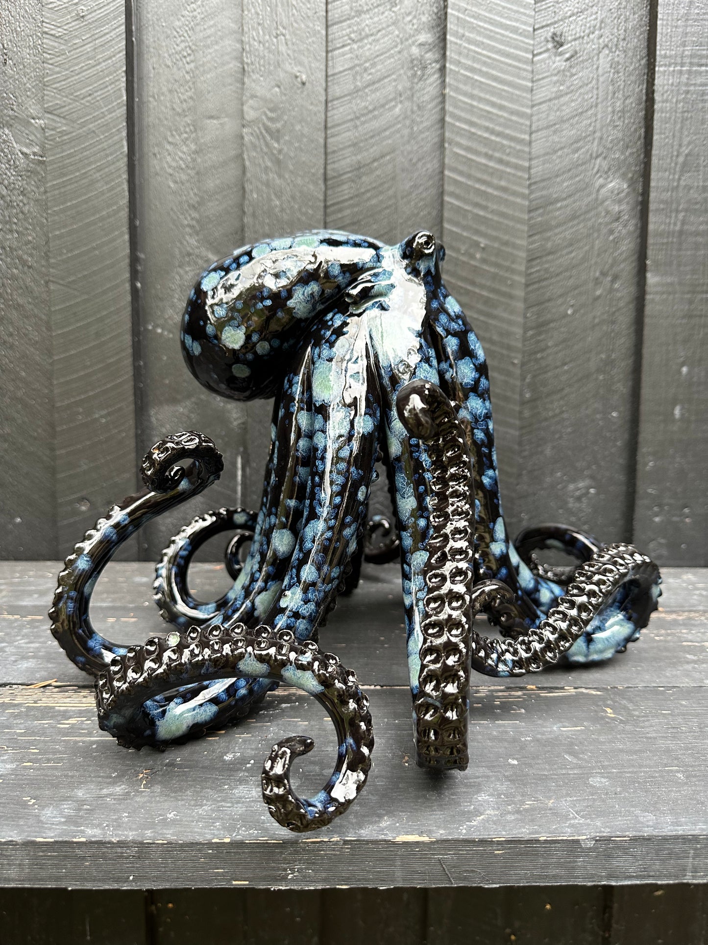 Black/Blue Octopus