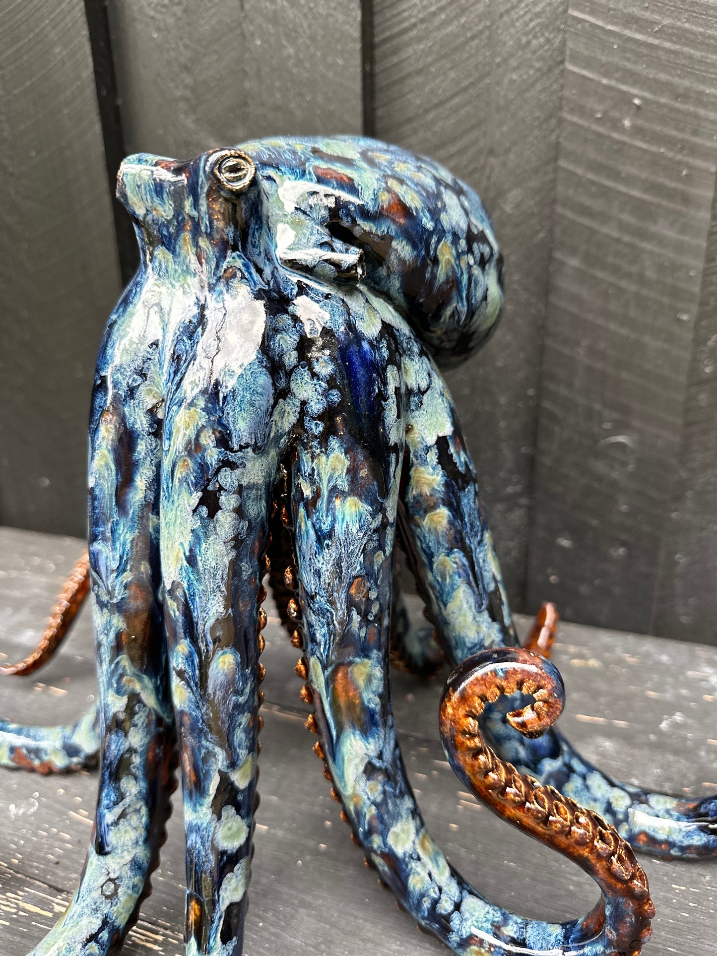 Blue/brown squid