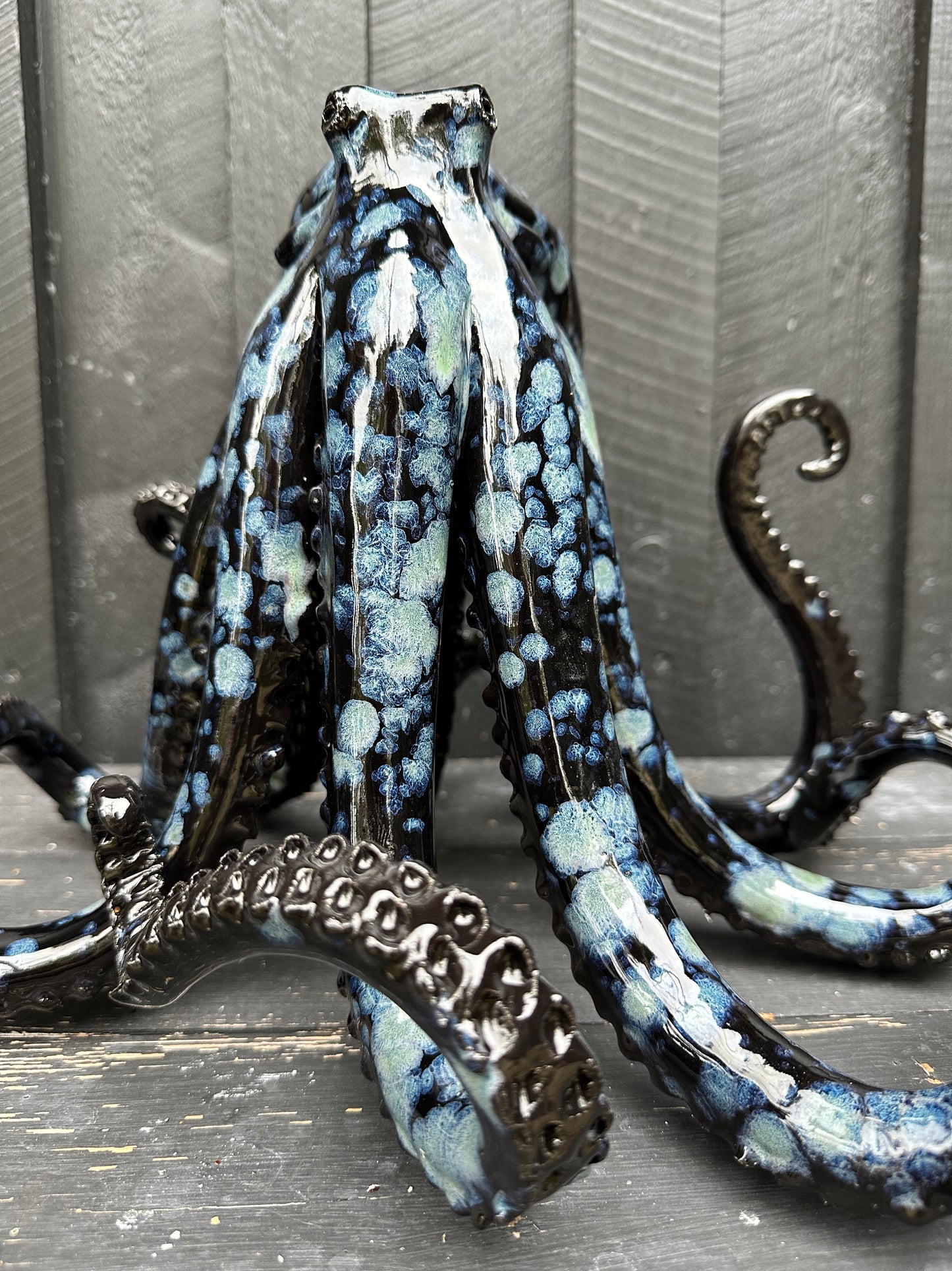 Black/Blue Octopus