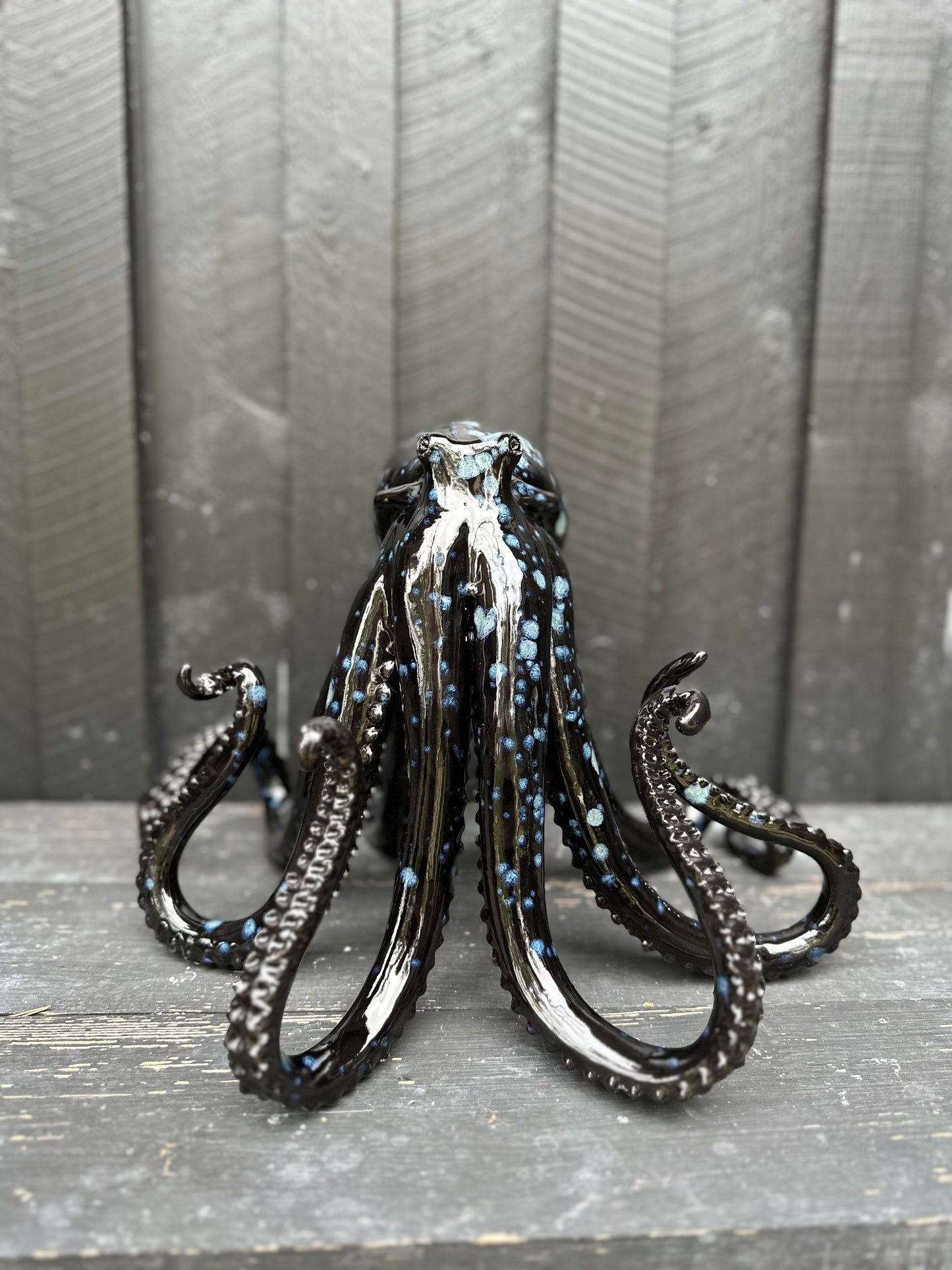 Black/blue squid