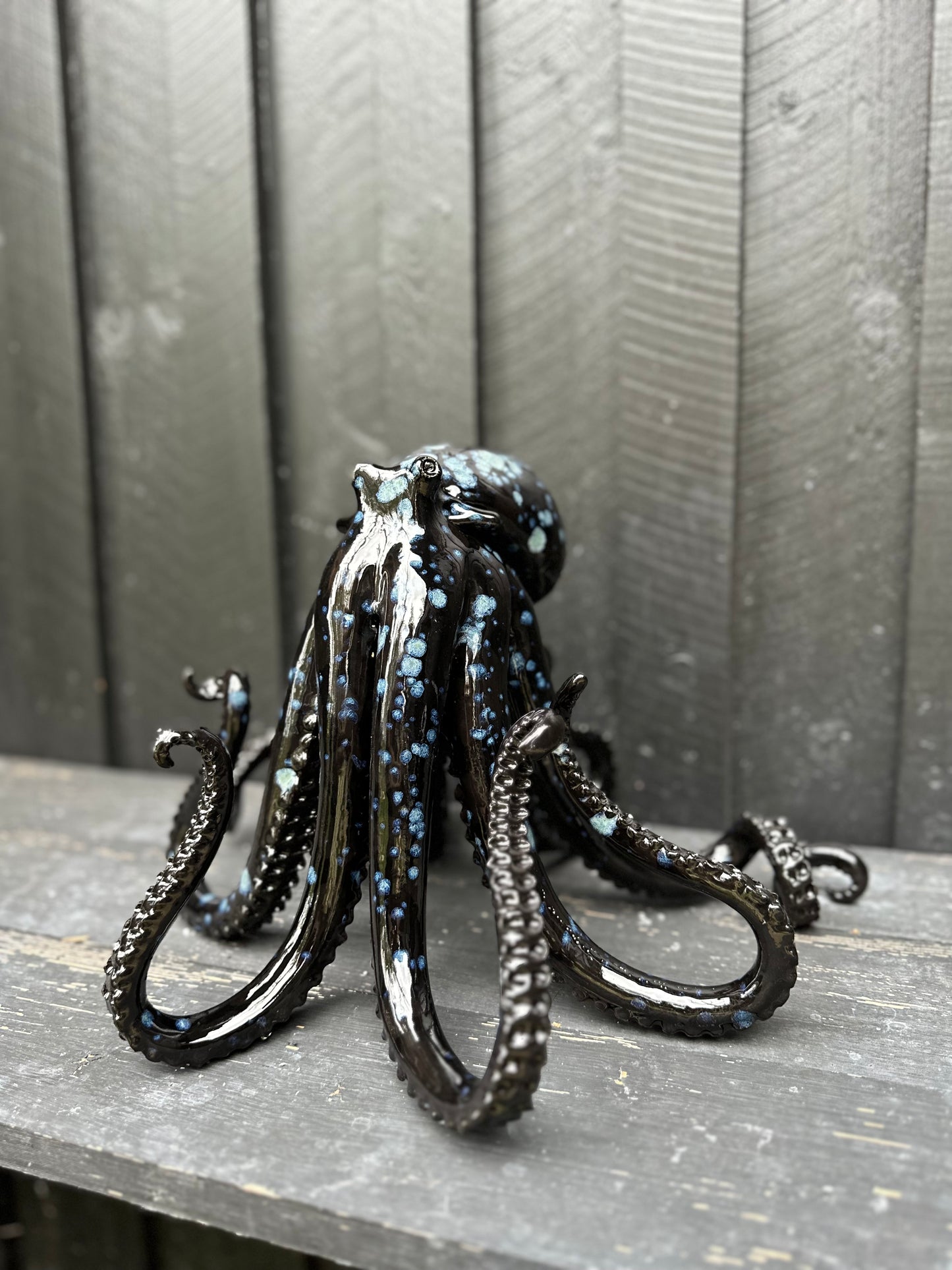 Black/blue squid