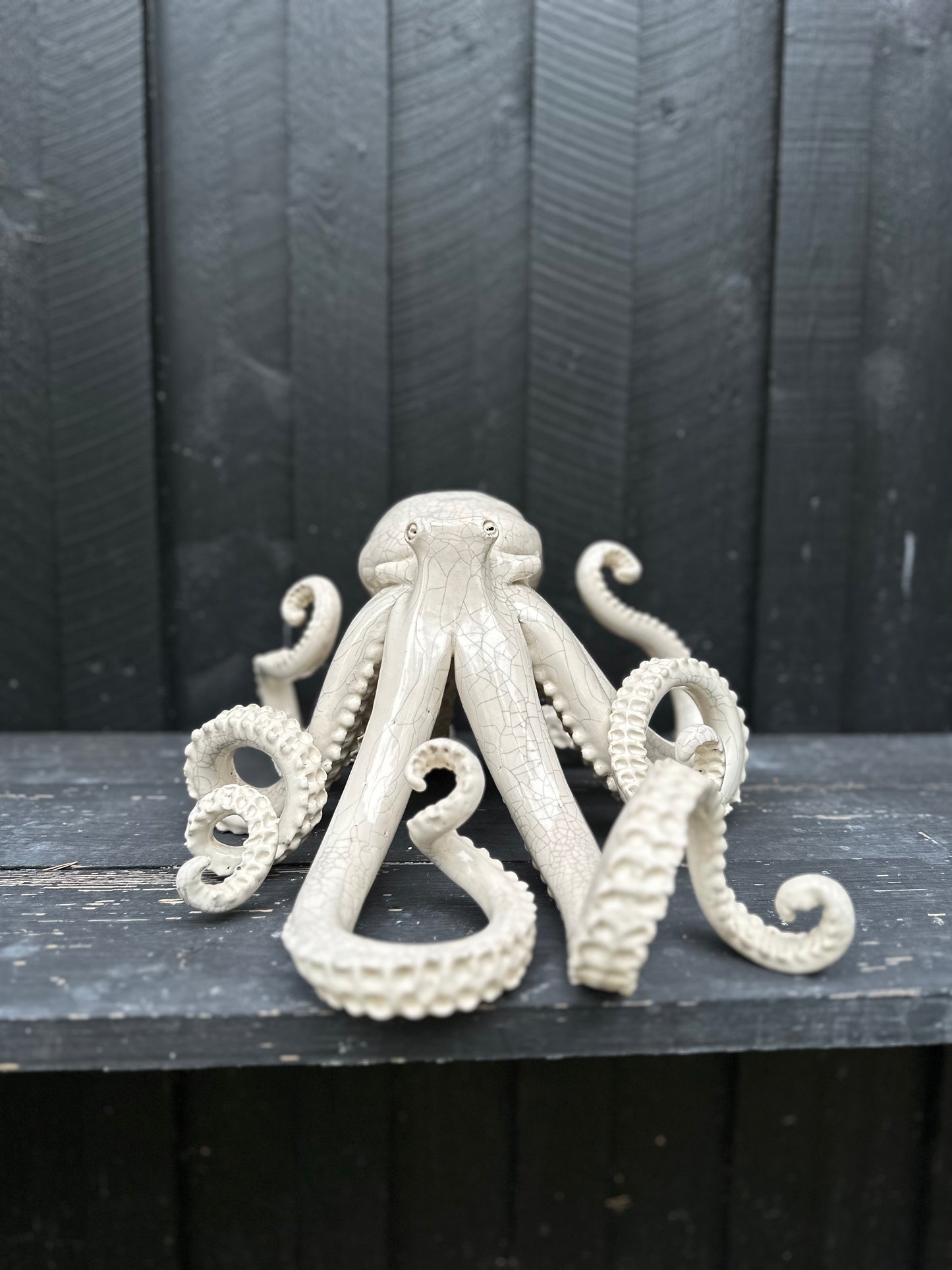 White crackled squid