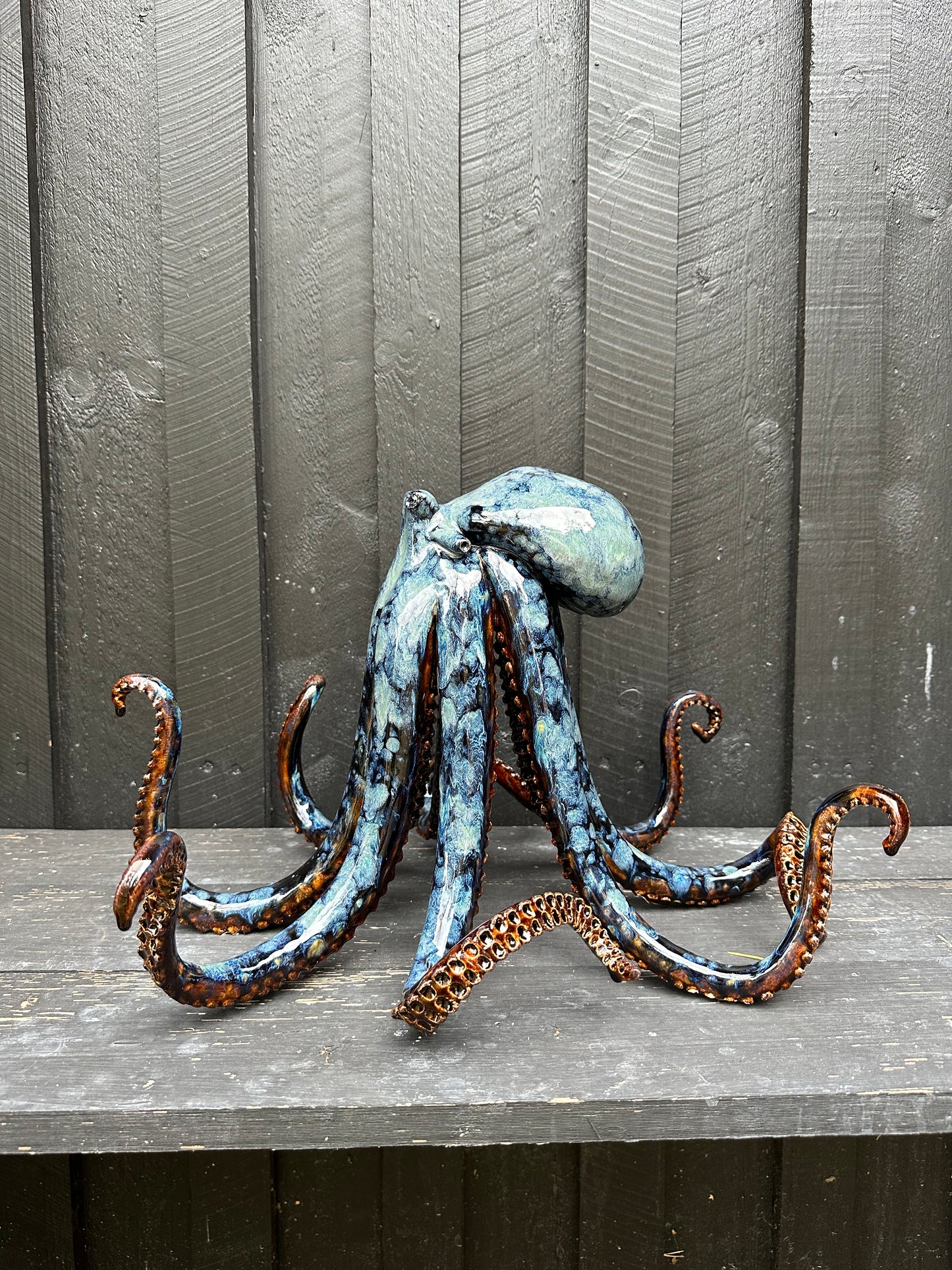 Blue/brown squid