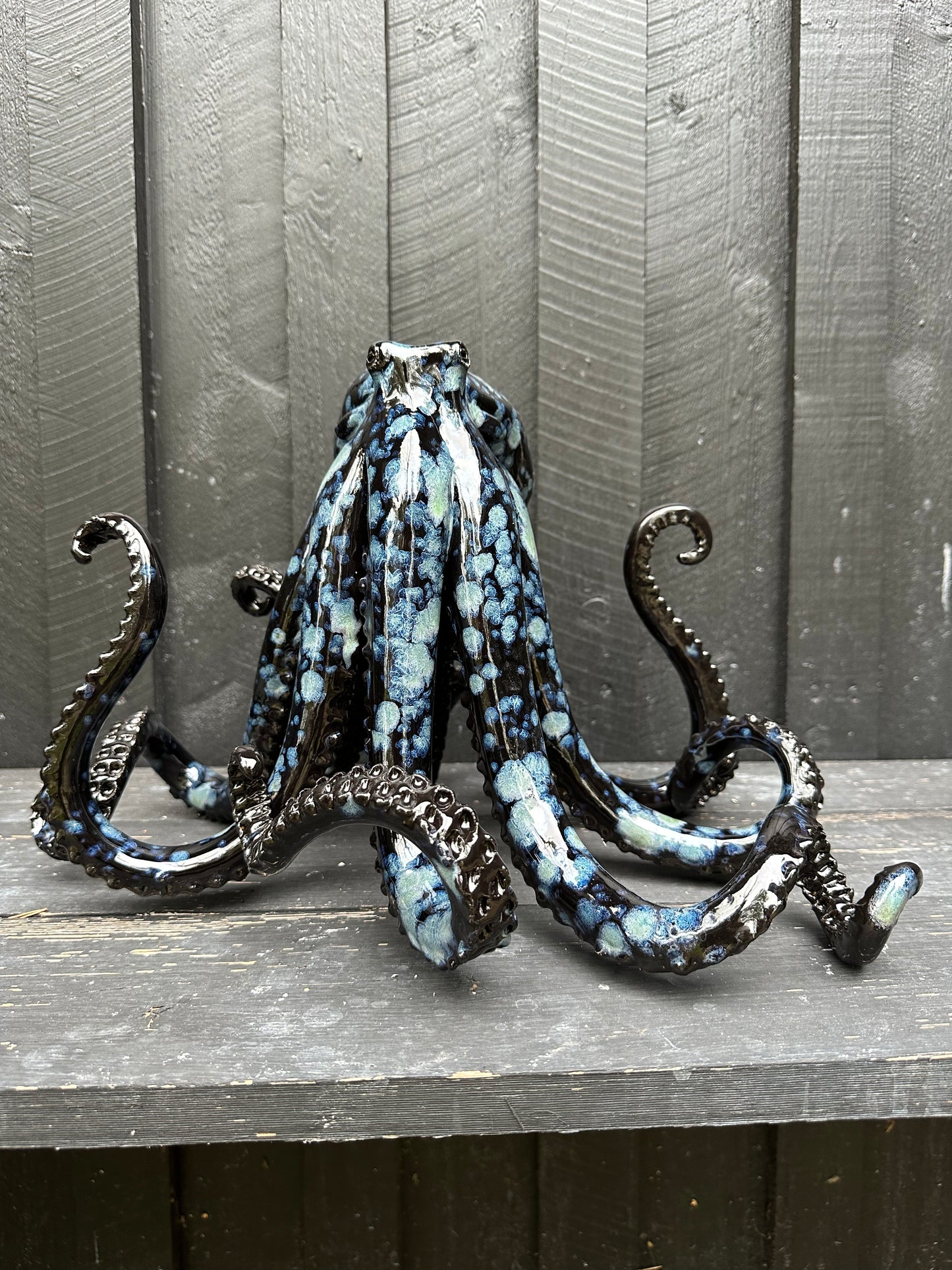 Black/Blue Octopus