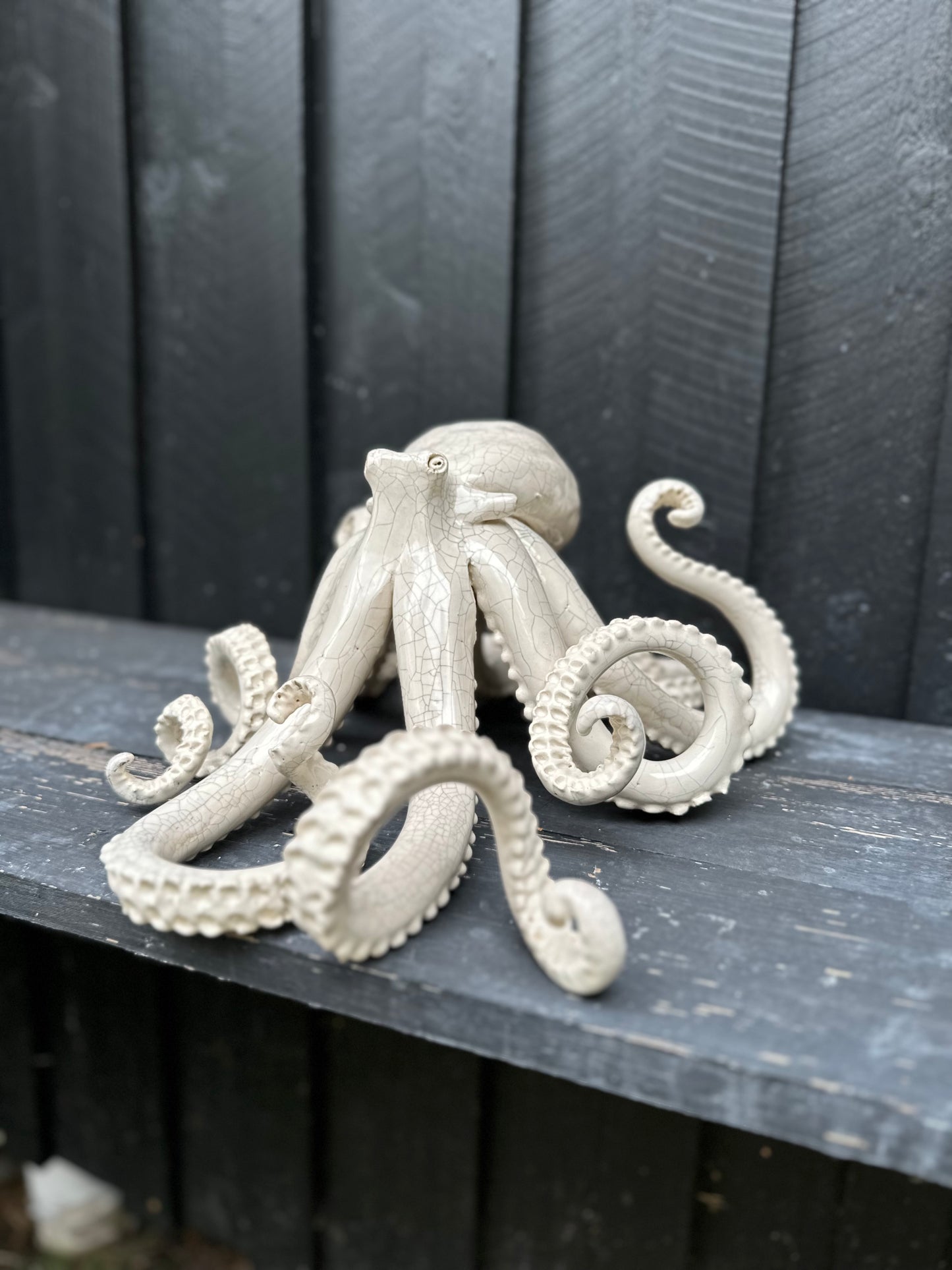 White crackled squid