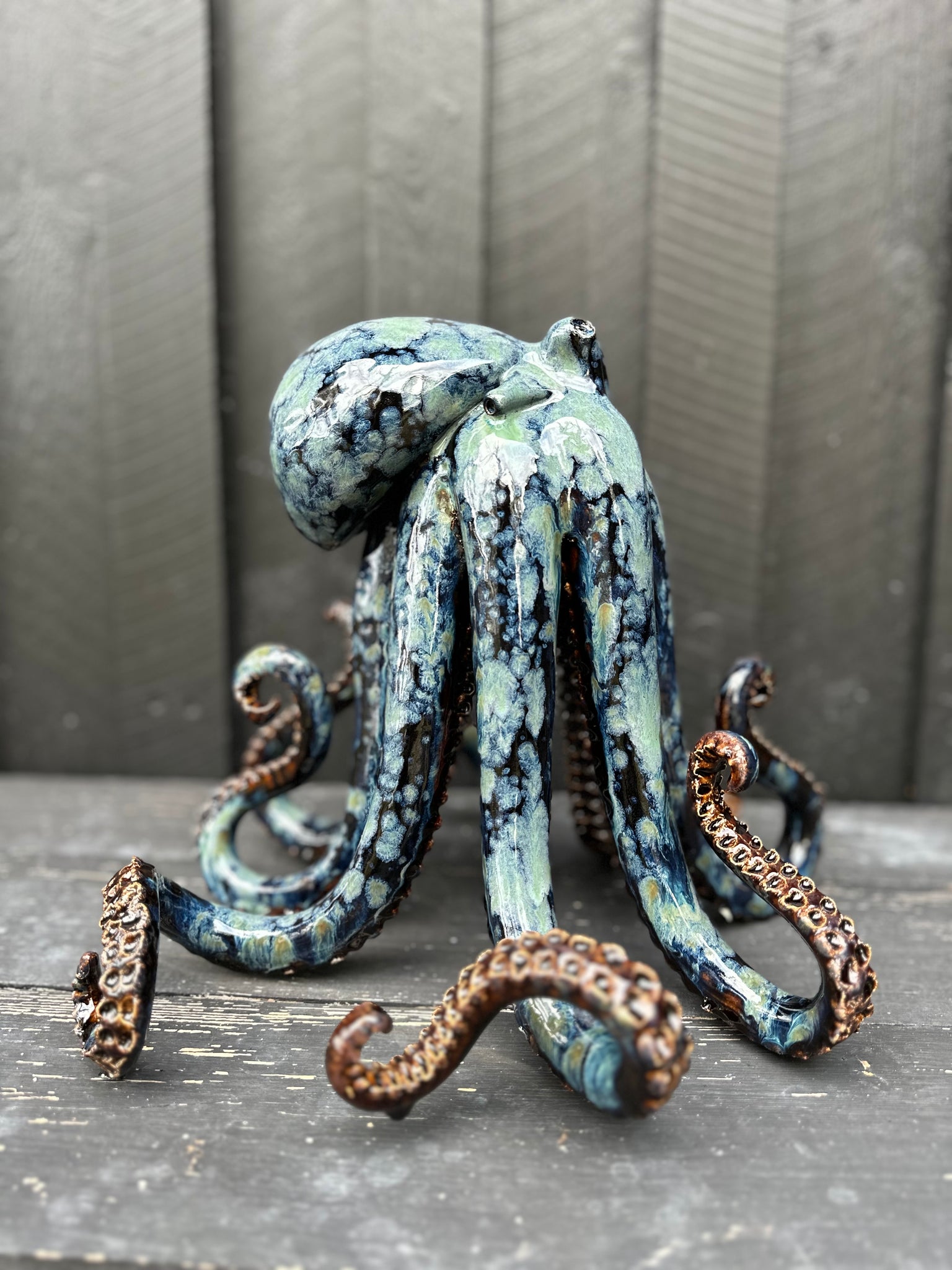 Green/brown/blue squid