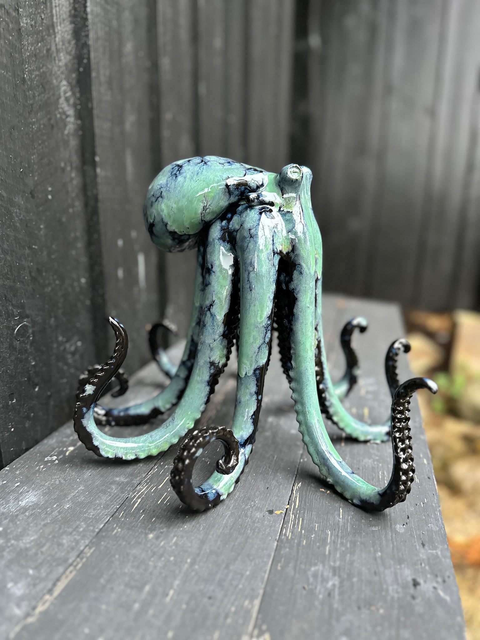 Green/black squid
