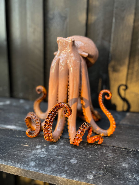 Octopus 04