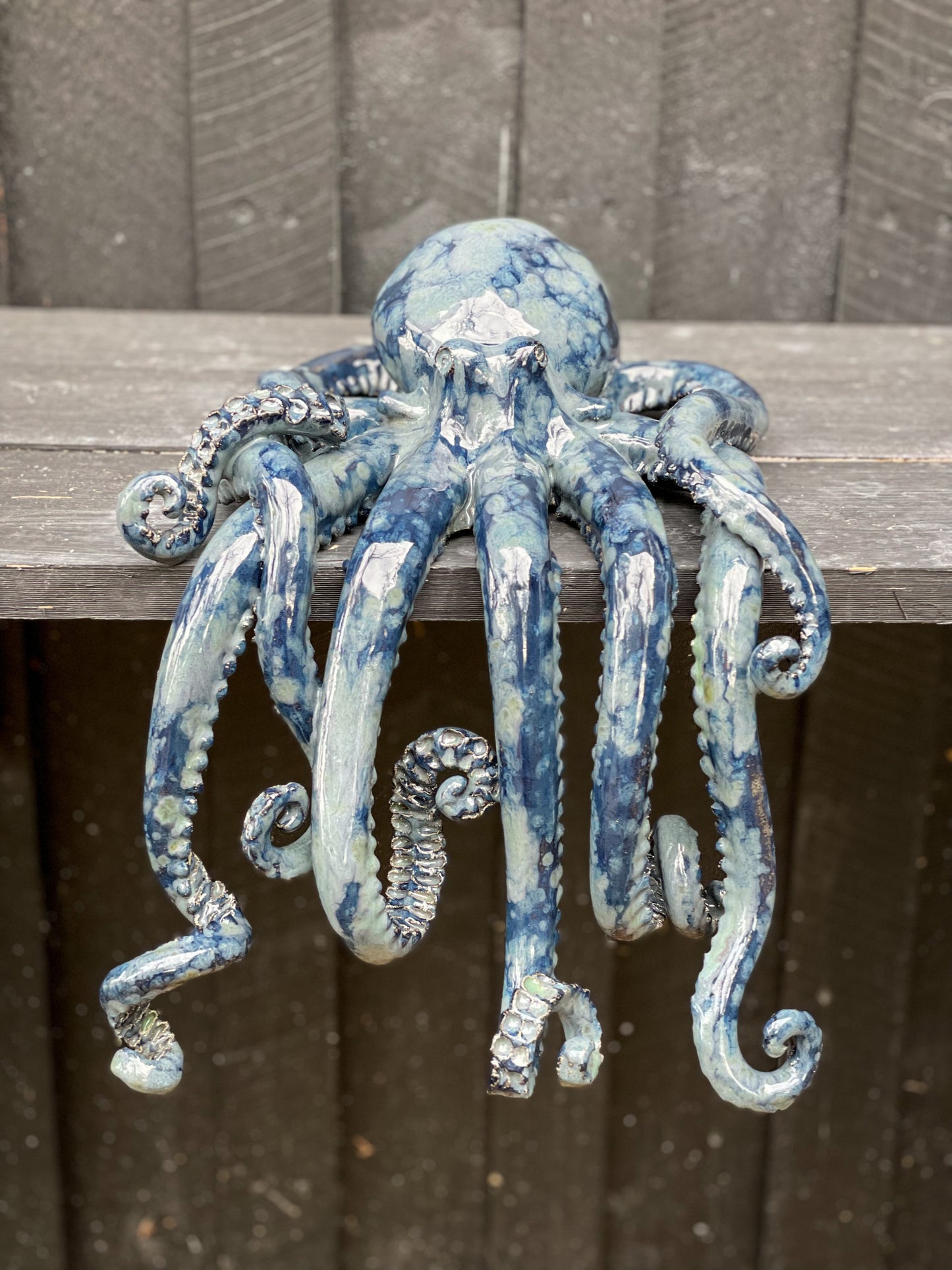 Octopus 09