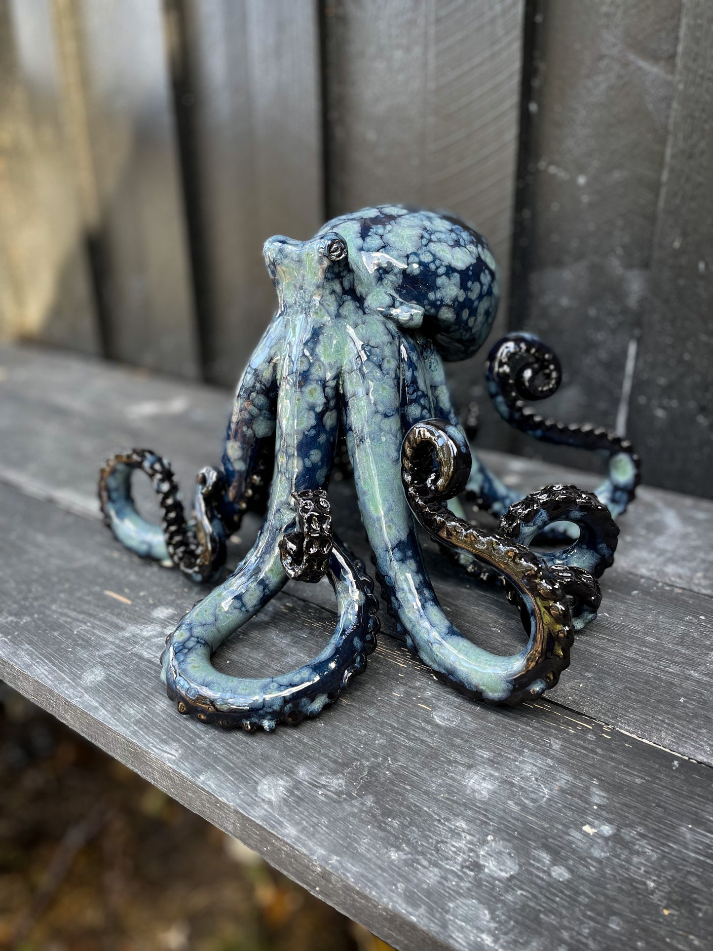 Octopus 06