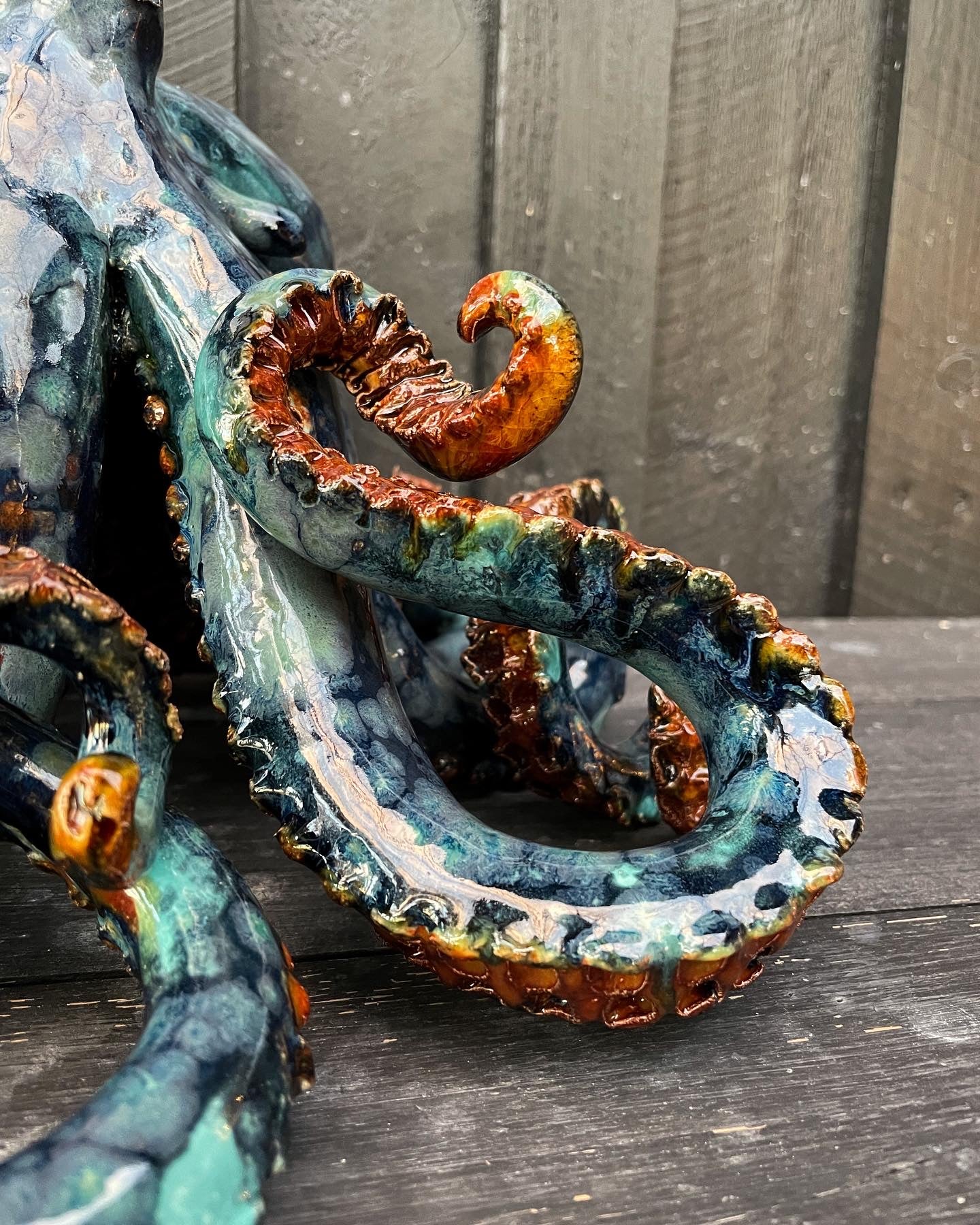 Octopus 02