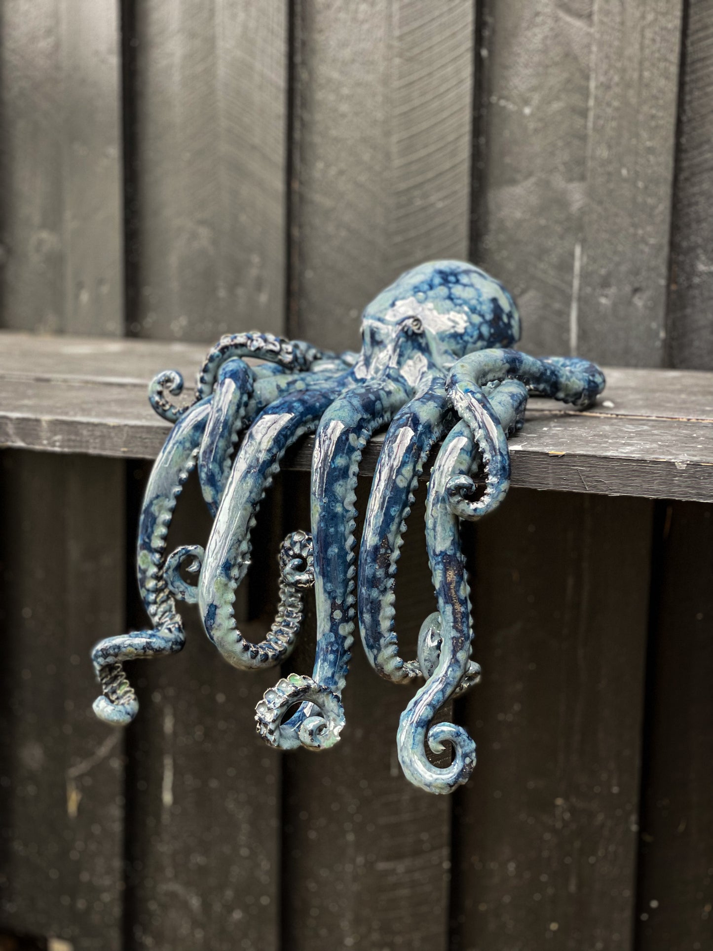 Octopus 09