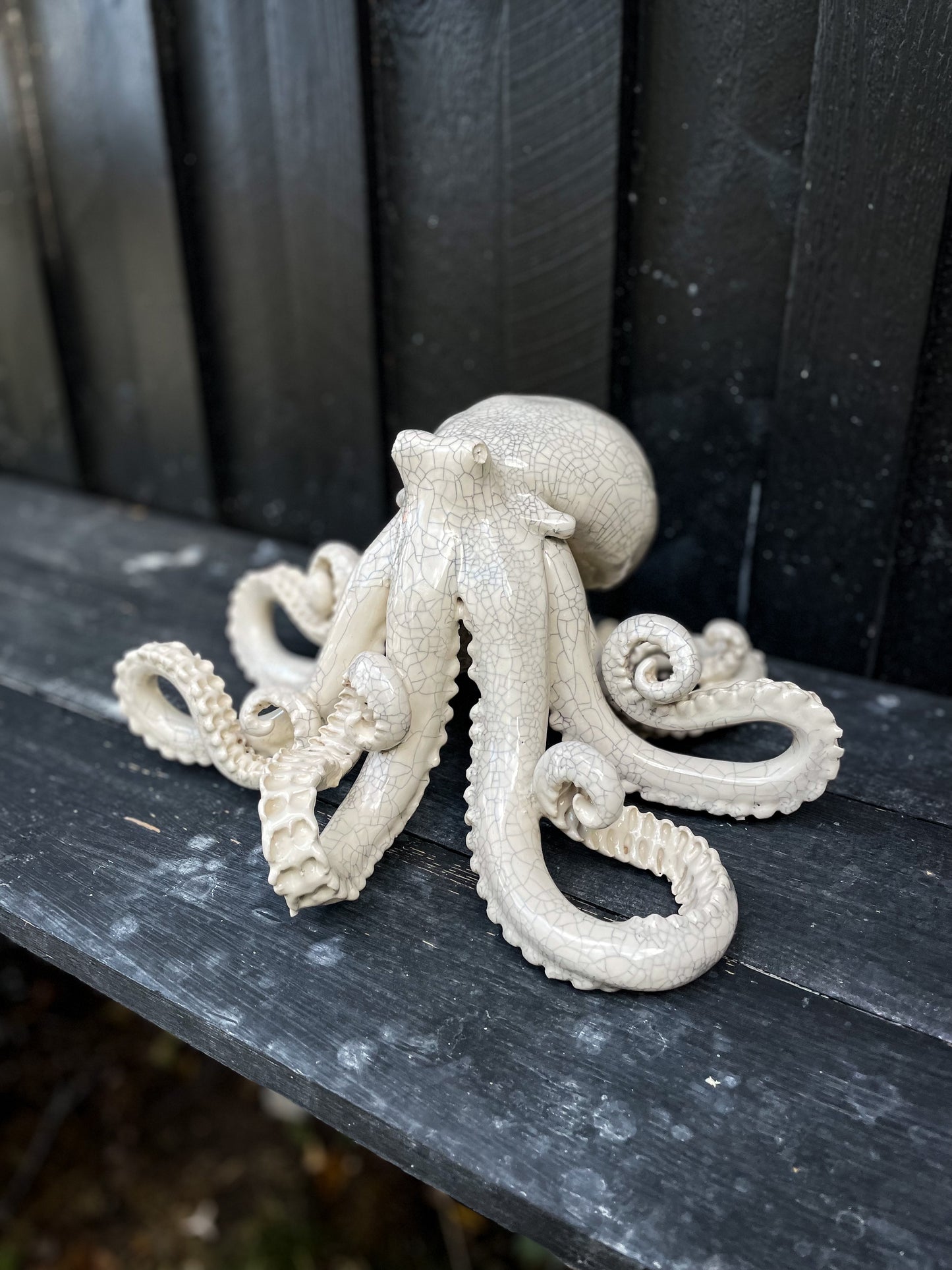 Octopus 05